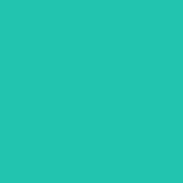 2046-40 Green Sponge